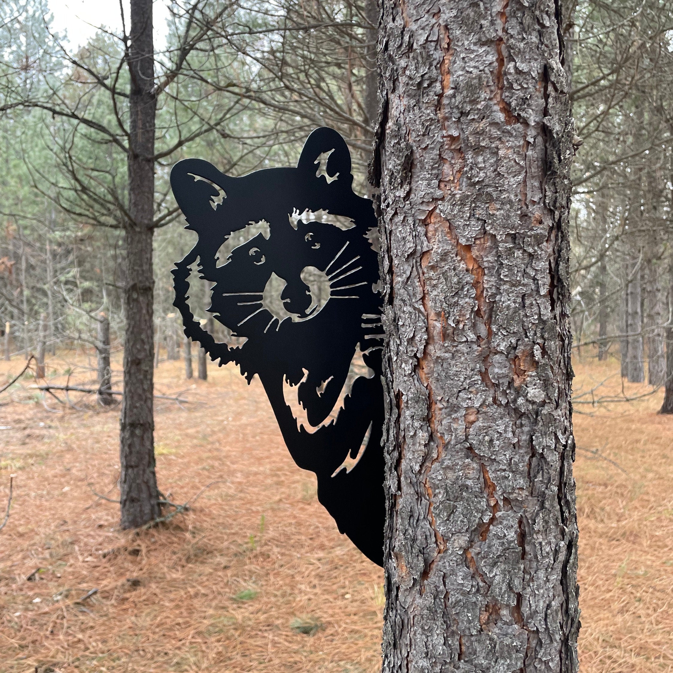 Raccoon